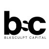 BlkSculpt Capital logo - Similar company to Acuxcel