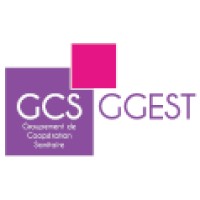 GCS Groupement du Grand Est - GGEST logo - Similar company to Paisage - Plateforme D'Accessibilité Et D'Intelligence En Données De Santé Du Gcs Ggest