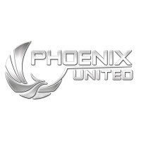 Phoenix United logo - Similar company to Blacktower Group Inc.