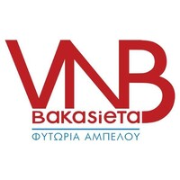 VNB - Bakasietas logo - Similar company to Laouta Shop
