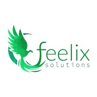 Feelix Solutions (pvt) Ltd logo - Similar company to Devcave