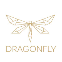 Dragonfly DXB logo - Similar company to Hunky Dory