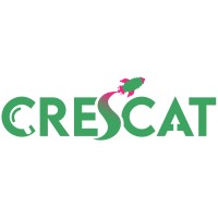 Crescat Digital logo - Similar company to Skillhanger