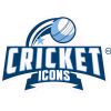 Cricket Icons logo - Similar company to Fore Excel