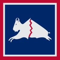 Grey Bull For Congress