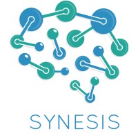 Synesis Consulting Ltd logo - Similar company to Liv Systems Ltd