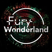 FuryWonderland logo - Similar company to Rtcomm.Ru, Ojsc