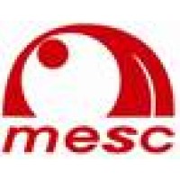 Modern Executive Systems Contracting L.L.C