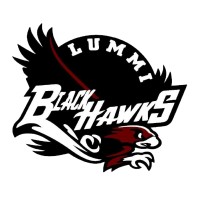 Lummi Nation School K-12 logo - Similar company to Lummi Nation Service Organization