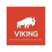 Viking Group logo - Similar company to Unique Findz