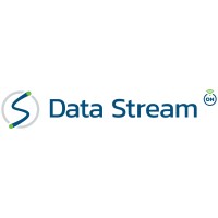 Data Stream Internet logo - Similar company to Flexgrid