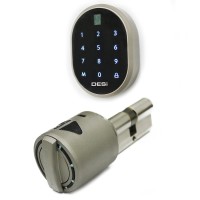 DESi ELECTRONIC LOCKS logo - Similar company to Desi Alarm