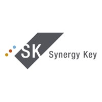 SYNERGY KEY logo - Similar company to Automatic Trading System