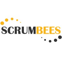 ScrumBees Technologies Pvt Ltd logo - Similar company to Codestring