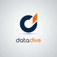 Data Dive Ltd logo - Similar company to Data Tech Business Intelligence