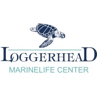 Loggerhead Marinelife Center logo - Similar company to Zoo Miami