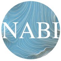Nabi Imports Inc. logo - Similar company to Satcon Services Inc.