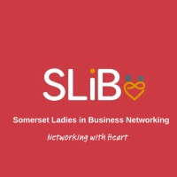 Somerset Ladies in Business logo - Similar company to Mori & Co.