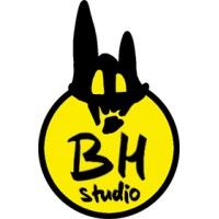 BH Studio logo - Similar company to Pyronix Games