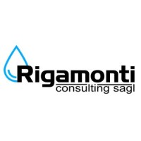 Rigamonti-consulting logo - Similar company to Mauell Ag