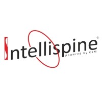 Intellispine Ltd logo - Similar company to Motion - Physical Therapy
