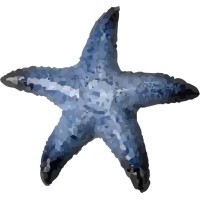 Asterias logo - Similar company to Heva Aps