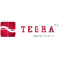 TEGRA Kazakhstan logo - Similar company to Orionm2M