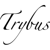 TRYBUS GROUP logo - Similar company to Trybus Sales