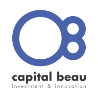 capital beau logo - Similar company to Beau Capital
