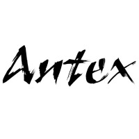 Antex S.r.l. logo - Similar company to G.360 Srl