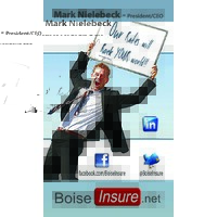 Boiseinsure.Net, Llc