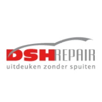 Dsh Repair