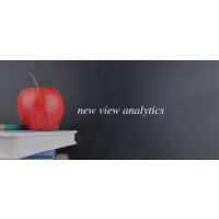 New View Analytics logo - Similar company to Nu View Consulting