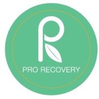 Pro Recovery logo - Similar company to Entrust Support Services