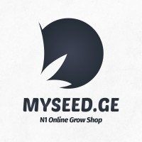 MYSEED.GE logo - Similar company to Pixel Outdoor