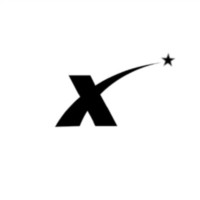 Nicologix logo - Similar company to Bigwig Digital Solutions Pvt. Ltd.