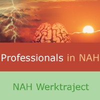 Professionals in NAH - NAH Werktraject logo - Similar company to Headache, Pain & Concussion Training Institute (Hpcti)