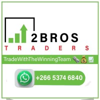 2Bros Traders logo - Similar company to Car Check By Webhit