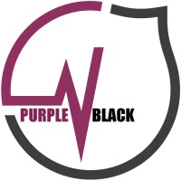 PurpleBlack Srl logo - Similar company to Noft