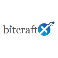 BitcraftX logo - Similar company to Netelsoft
