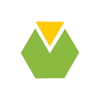 Hedera logo - Similar company to Gnosis Knowledge Solutions
