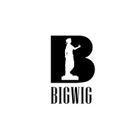 BIGWIG Docuseries logo - Similar company to E4E