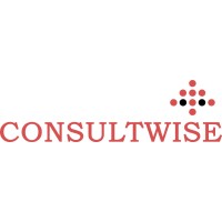 Consultwise logo - Similar company to Software4(Consult Wise Llc)