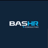BASHR Consulting logo - Similar company to Mandate Molefi