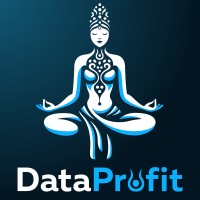 Data Profit • Data Science & AI Services logo - Similar company to Data Sculpture