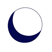 CYIS | Centre for Youth and International Studies logo - Similar company to Frontier