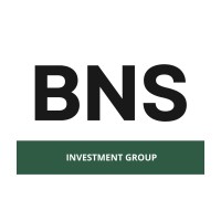 BNS HOLDING GROUP logo - Similar company to Develmo