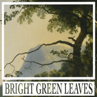 Bright Green Leaves logo - Similar company to Brightleaves Technology Solutions Private Limited