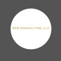 NPB Consulting, LLC. logo - Similar company to Npb Consultancy