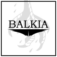 Balkia Sàrl logo - Similar company to 1M83